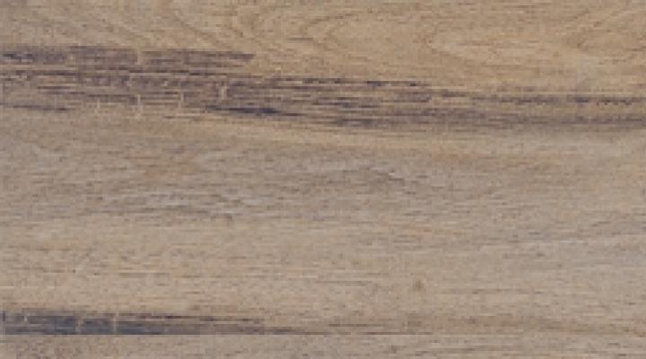 Sagano Oak